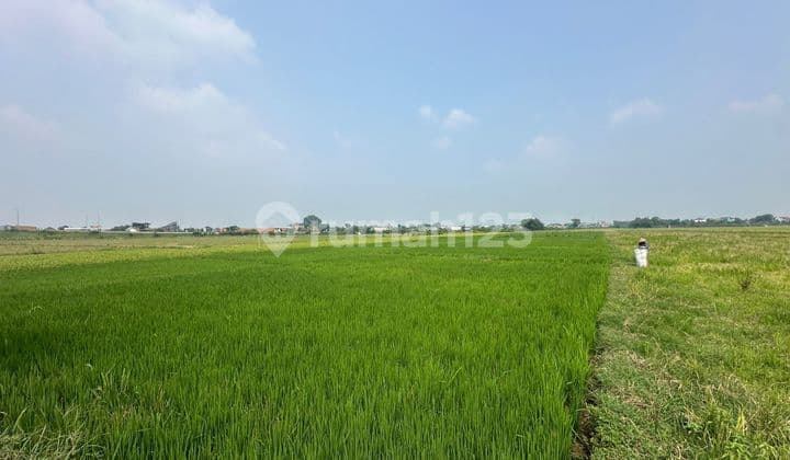 Tanah Murah Palur Kebakkramat Zona Merah Cocuk untuk Pabrik