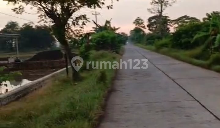 Tanah Sawah Strategis 2118m