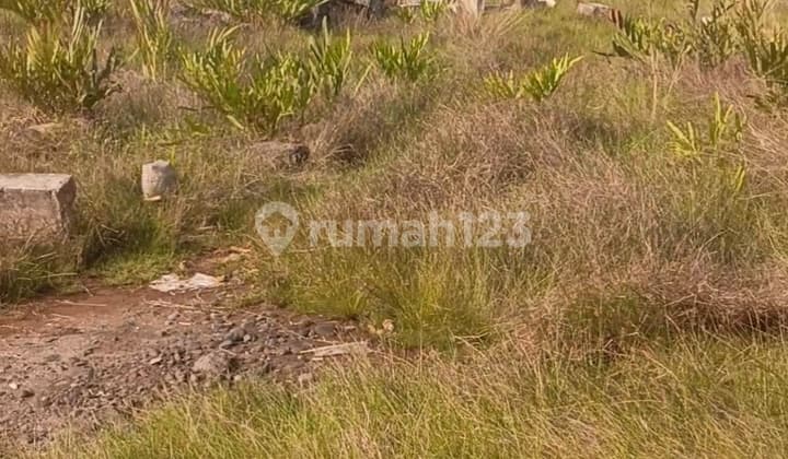 Tanaj Sebelah Rm Pantai Sari