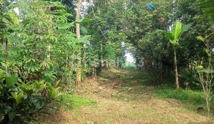 Jual Tanah Di Tanjung Rasa Jonggol Bogor