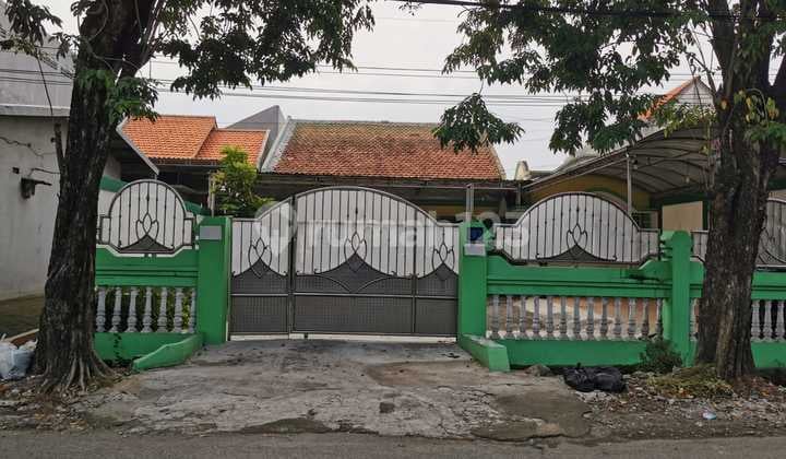 Disewakan Rumah Raya Jeruk Dekat Perumahan Greenlake