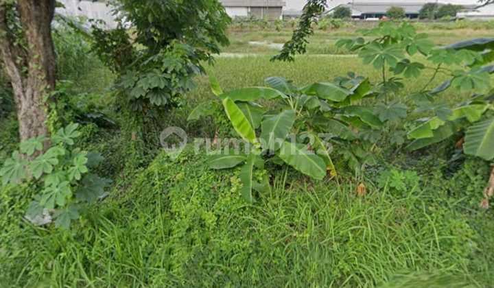 Dijual Kavling Tanah di Cangkir Driyorejo