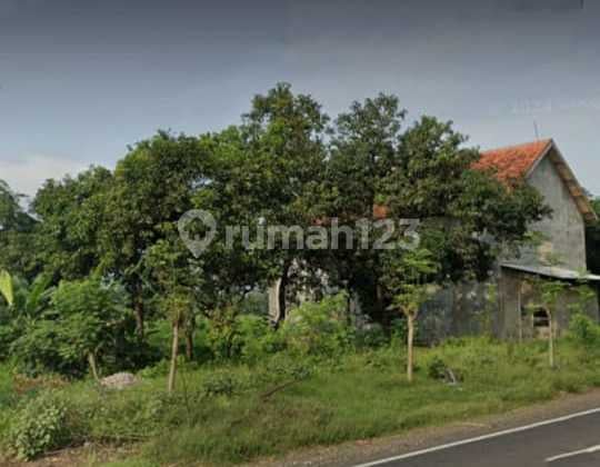 Kavling Tanah Nol Jalan Raya Nguling Sedarum Pasuruan