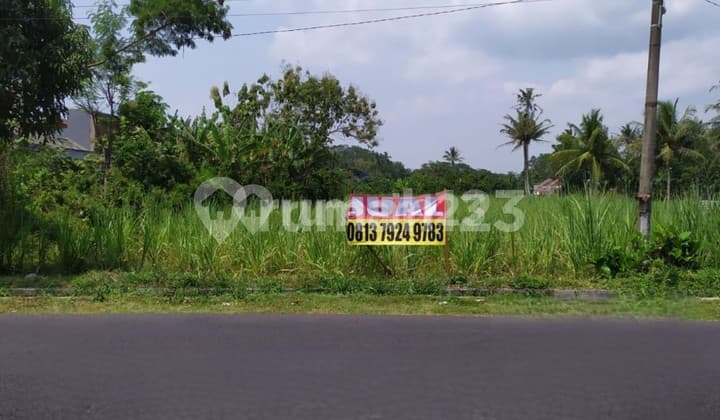 Tanah luas poros jalan raya Panarukan Kepanjen