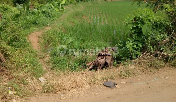 9 Dijual Tanah Siap Bangun Pandeglang Banten