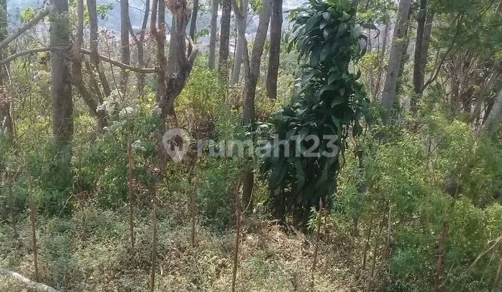 Dijual Tanah Kavling Murah 4018 M² Di Tanjungsari Jatinangor