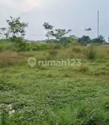 Dijual Cepat Dan Murah Tanah Di Majalaya, Shm