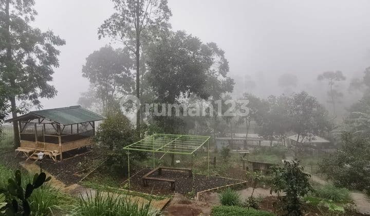 Dijual Murah Rumah Villa Dan Tanah Di Ujungberung, Bandung