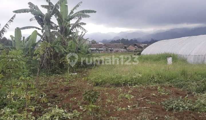 Tanah Siap Bangun Wilayah Strategis di Ciwidey