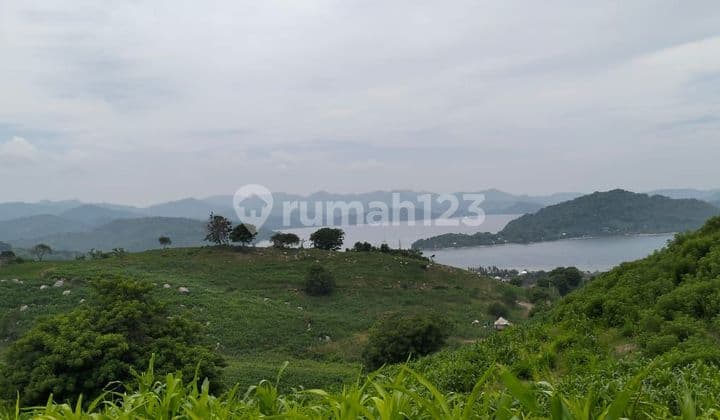 Tanah Luas Di Sekotong Barat Dengan View Laut Dan Kebun Hanya Untuk. Investasi