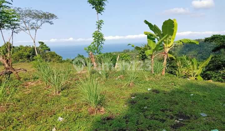 Bisa Bayar 2 Tahun Tanah Di Batu Layar View Laut Dan Pinggir Jalan Aspal