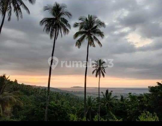 Ocean View Land Near Bangsal Harbour ,Very Good Price