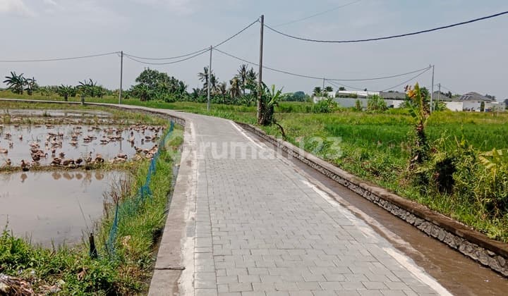 Tanah Dengan View Sawah Full Dan Akses Sudah Paving Dan Dekat Area Wisata Di Ubud