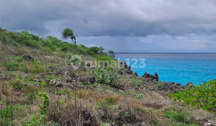 Tanah Tebing Pantai Bukambero Sumba Barat Daya Sudah Shm Di Lepas Cepat