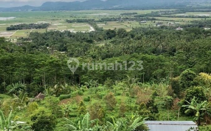 Jual/Sewa Property di Jl Banyu Biru Kopeng Salatiga