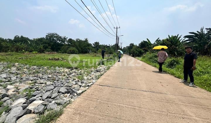 Kavling Murah Cisauk Cocok Untuk Hunian, Dekat Ke BSD