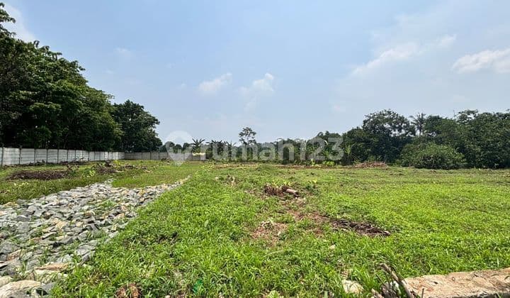 Dekat BSD, Tanah Cisauk Strategis Pas Untuk Investasi