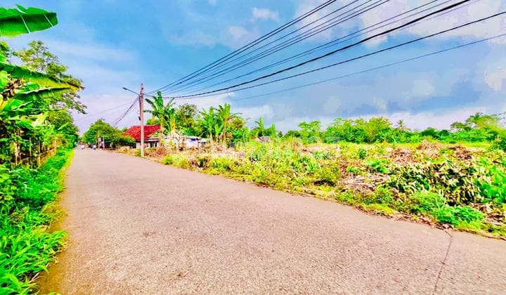 Tanah Murah Cocok untuk Hunian, Dekat dengan Stasiun Cicayur