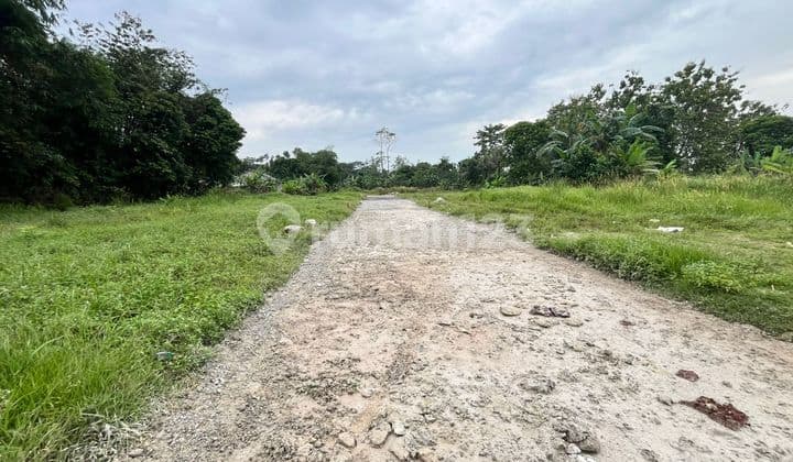 Land for Sale Cheap Near BSD by the Road, Access to Legok Toll