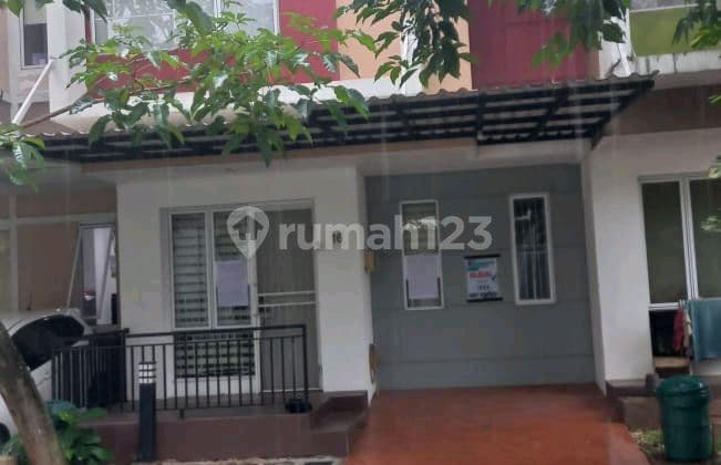 Rumah Cantik Terjangkau di Perbatasan Gading Serpong dan Bsd