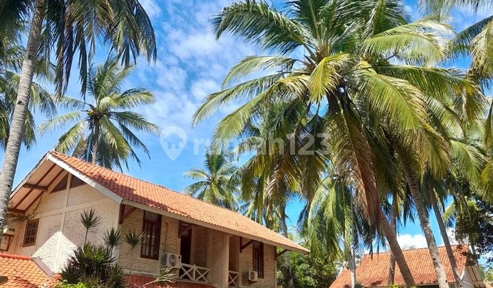 Jarang Ada! Nego Villa Cottage Harga Tanah Tepi Pantai Premium Anyer Banten SHM, Dapat Semua Fasilitas, Cocok untuk Investasi Pariwisata, Villa, Hotel dan Kuliner Nuansa Pantai