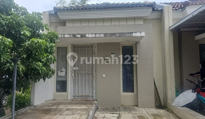 For Sale Cheap Corner House Green River View