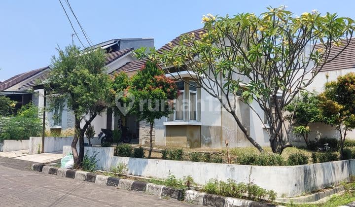 Rumah Hook Bcc Cluster Pinewood Tanah Sareal