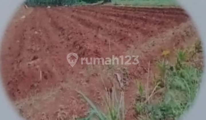 Tanah Lokasi Strategis 5 Ha di Cikeas Bogor