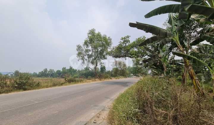 Dijual Tanah/Kavling Industri di Cikande ( Cocok untuk Gudang dan Industri)