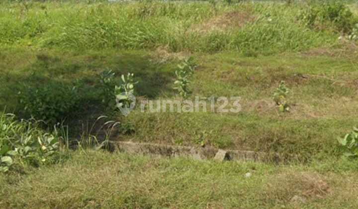 Dijual Kavling 2 Ha Cikande Banten !!! Kawasan Pergudangan !!!!
