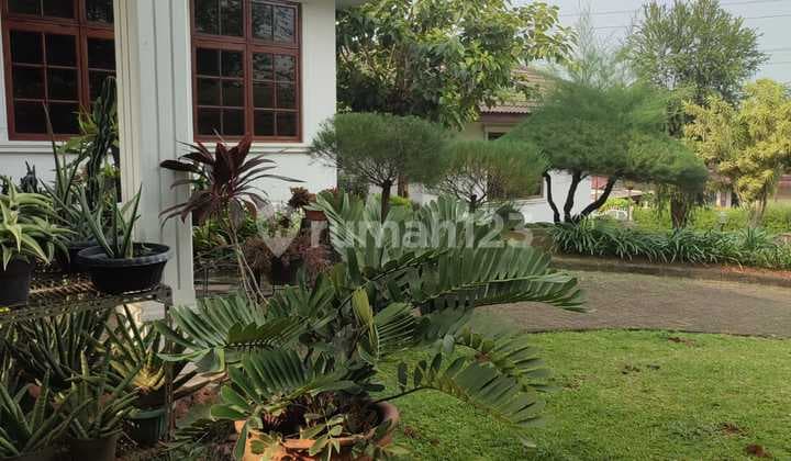 Rumah Hoek Terawat Asri Nyaman Ada Kolam Renang dekat Cinere Mall
