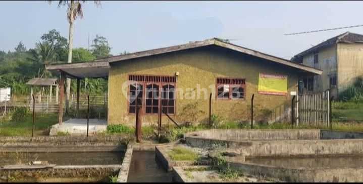 Dijual Murah dan Cepat Kolam Ikan, Sawah dan Tanah Kosong