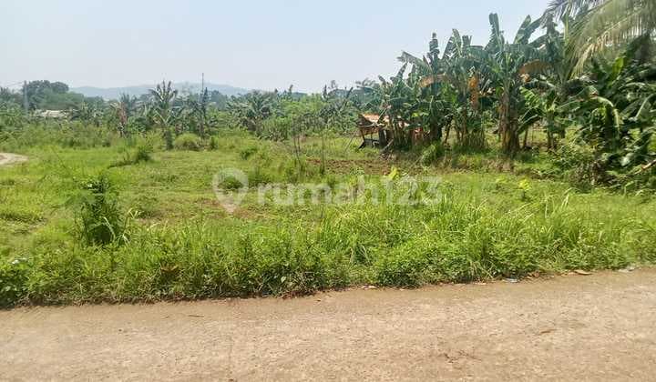 DIJUAL TANAH LOKASI MENARIK DI KLAPANUNGGAL CILEUNGSI BOGOR