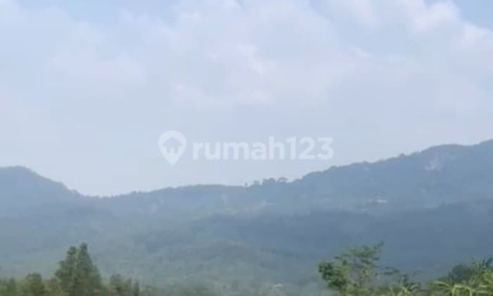 DIJUAL TANAH SUBUR LOKASI DESA PABUARAN BOGOR DEKAT GOLF PUNCAK