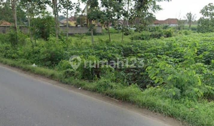 Tanah Premium di Gunung Sugih, Lampung Tengah