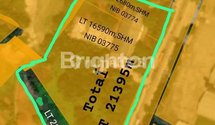 Tanah Raya Cikande 2 Hektar HA Rangkas Bitung cocok untuk Industri maupun Pabrik