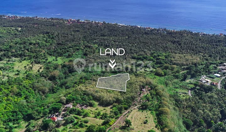 Peluang Unik Berinvestasi di Nusa Penida!