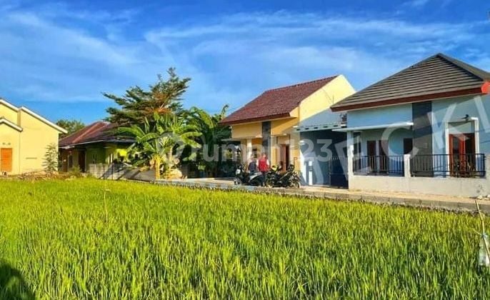 Rumah Minimalis Siap Huni Dijual Dekat Jogja Kota Kotagede Yogyak