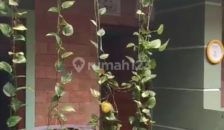 Rumah Minimalis Disewakan Dekat Ugm Jogja, Mlati Sleman Yogyakart