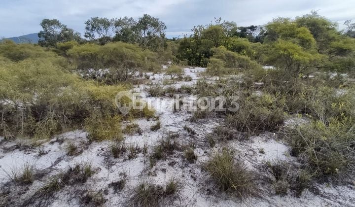 TANAH DI ANAMBAS JEMAJA MAMPOK
