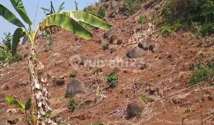 Dijual Tanah Batang Jawa Tengah