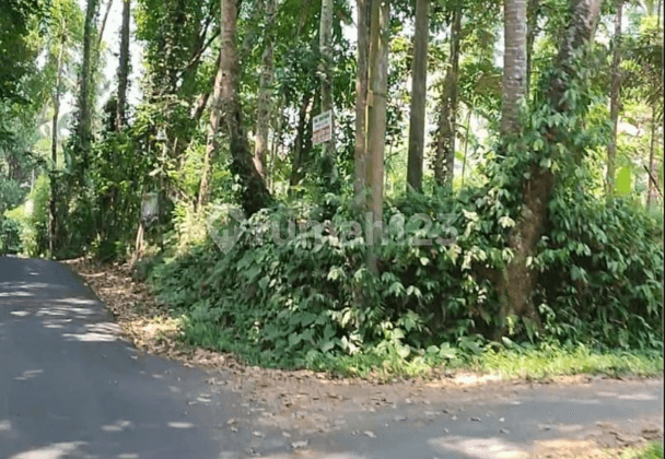 Tanah di Kelusa Payangan Ubud