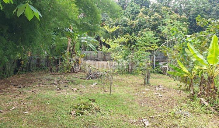 Kavling SHM Luas 2.120 Meter Area Strategis di Muncul Tangerang