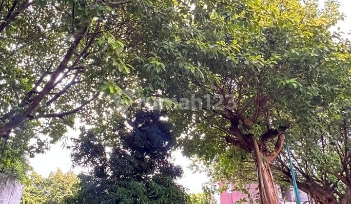 Kavling Siap Bangun Luas 255 Meter di Kemang Pratama Bekasi