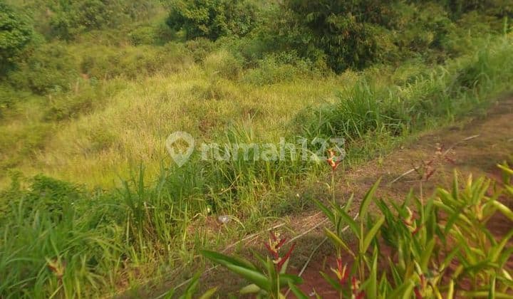 Dijual Kavling luas 1,5 Hektar Area Cibubur CBD