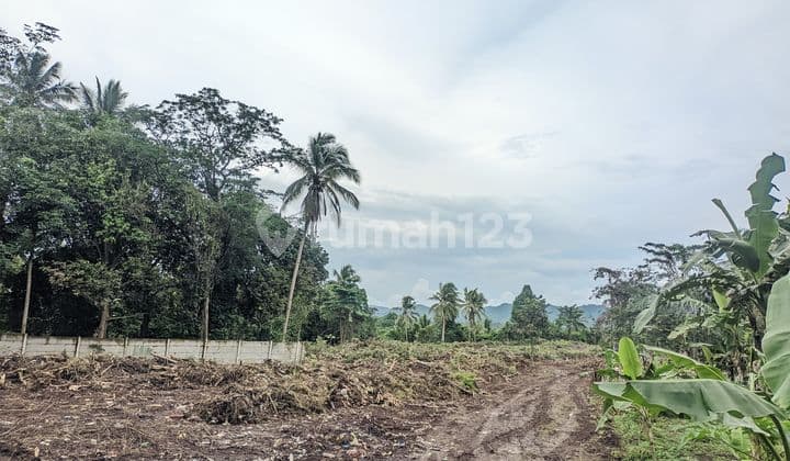 Tanah/ Lahan Luas - Sindang Heula, Kab. Serang