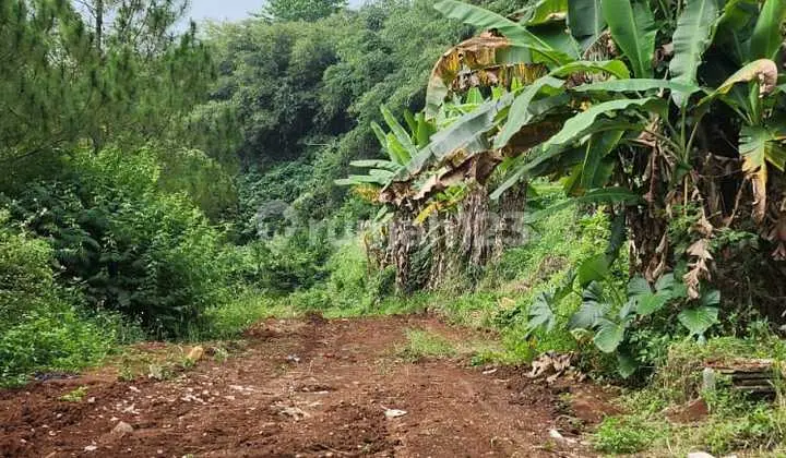 Kavling Exlusive Di Komplek Alam Kanayakan Dago Bandung