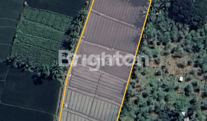 Tanah Sawah Tanah Sawah