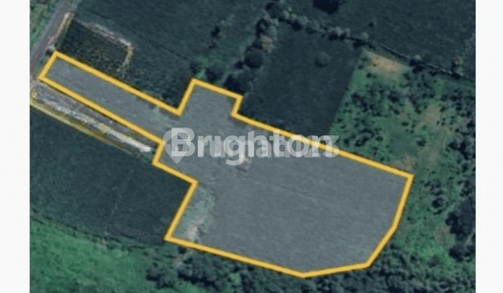 Tanah 900rbn per meter