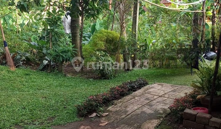 Disewakan Tanah Siap Pakai Daerah Parungpung Gunung Sindur Bagor